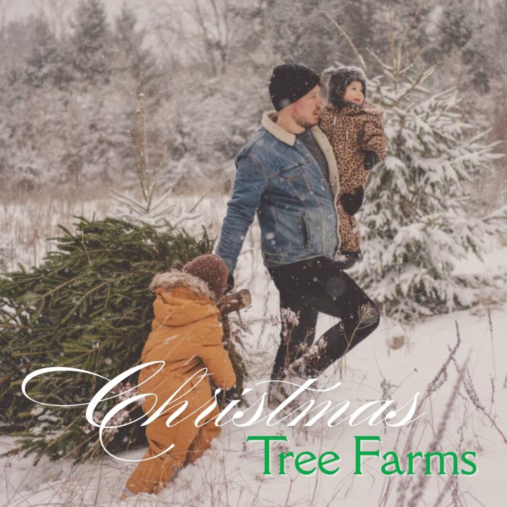 A man and 2 children trekking through snowy terrain. Christmas Tree Farms.